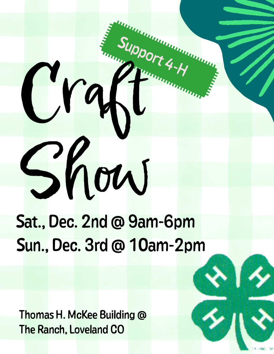 4h craft show