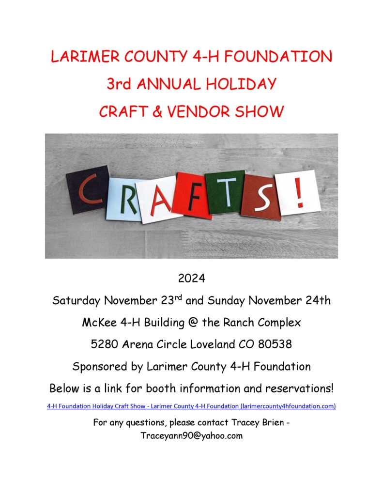 3rd annual 4-H craft show