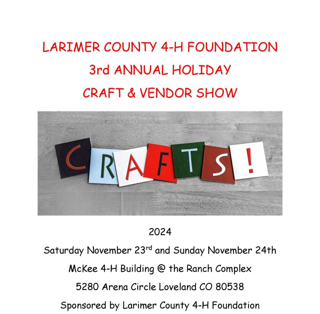 3rd annual 4-H craft show