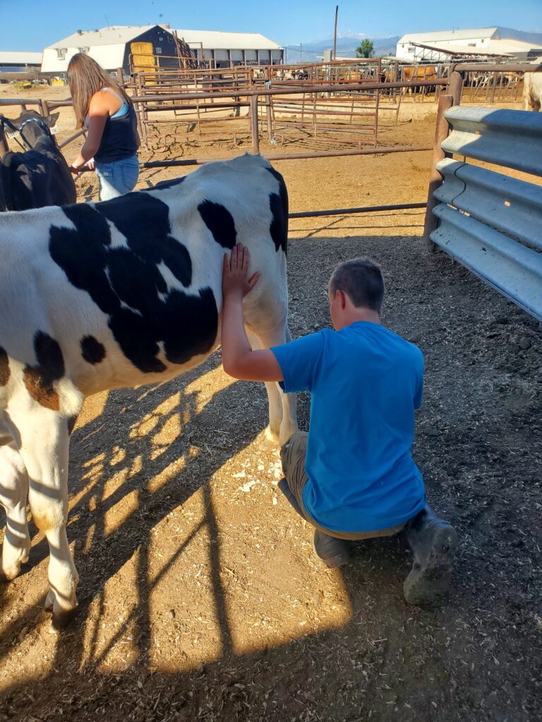 individual project support from the larimer county 4h foundation