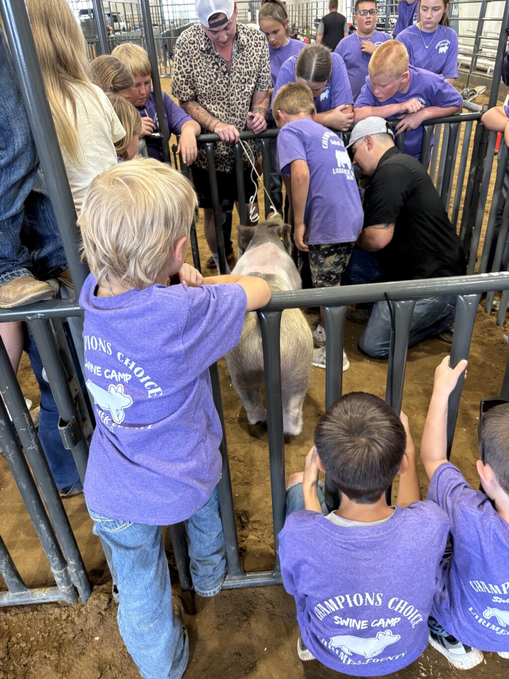 2026 swine camp