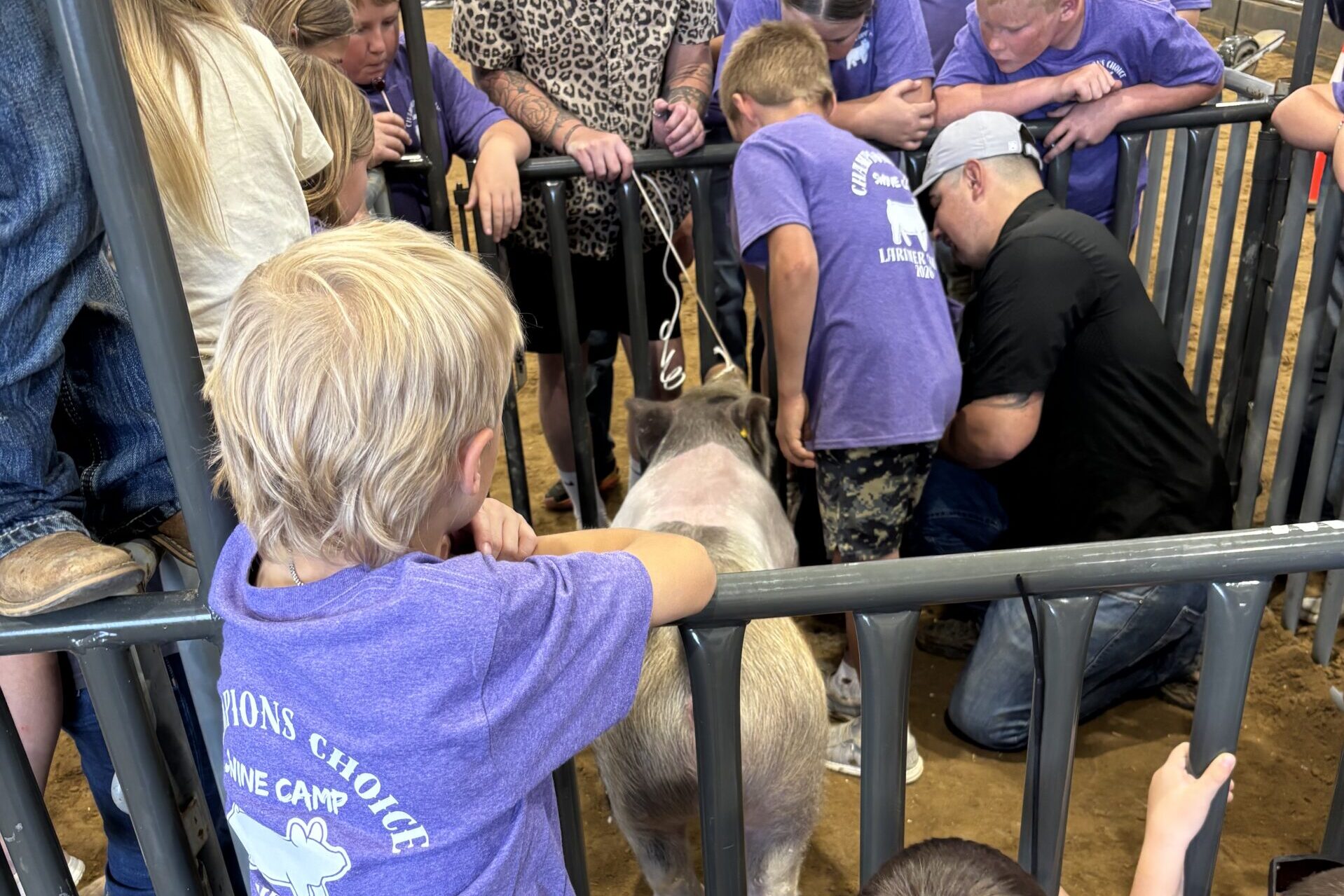 2026 swine camp